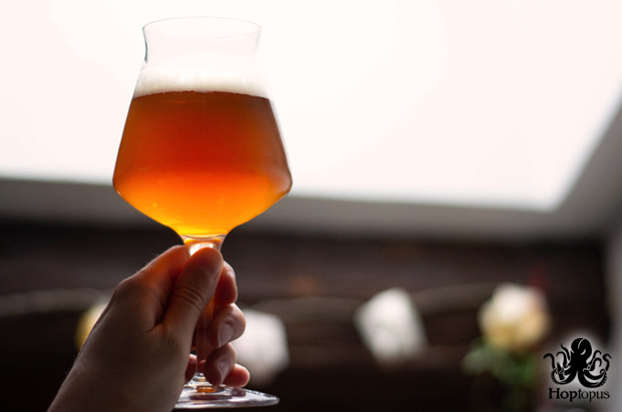 Dossier - Comment bien déguster une bière - Regarder